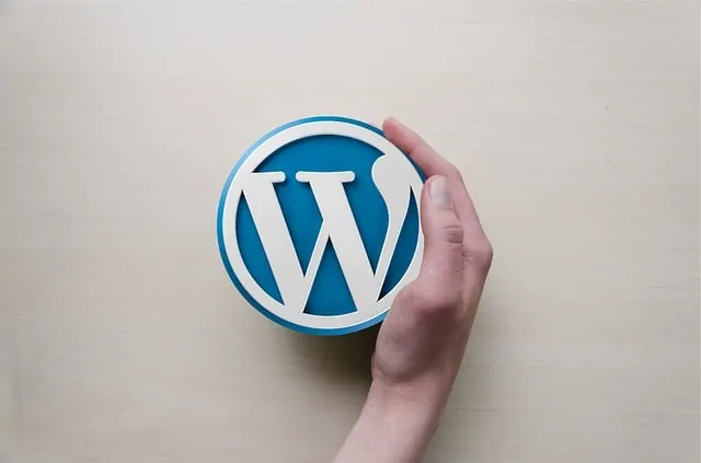 WordPress - Which Among the Best Blogging Platforms is THE One for You?