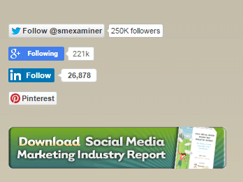 screenshot-www.socialmediaexaminer.com 2015-07-24 10-12-36