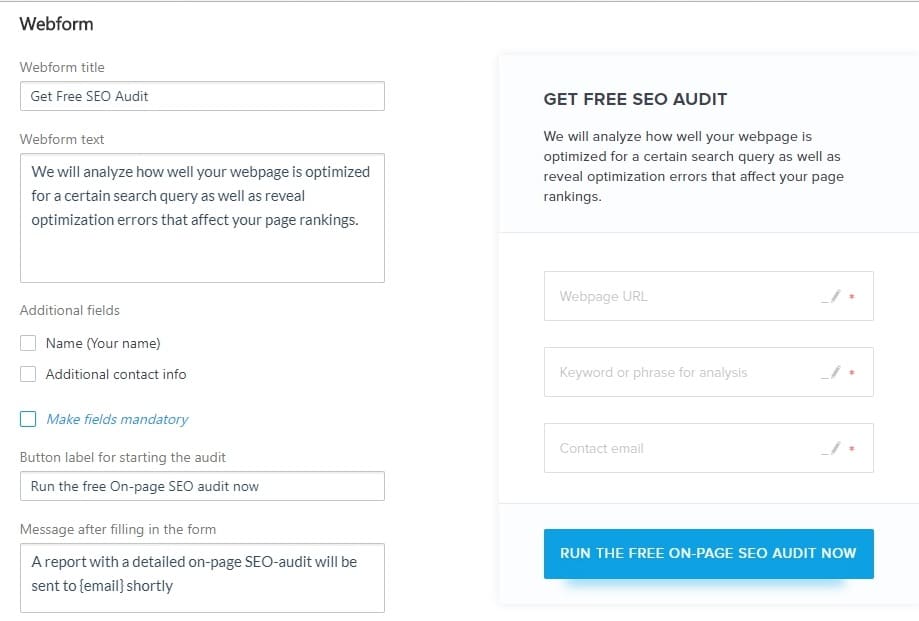 create a lead gen form for seo audit