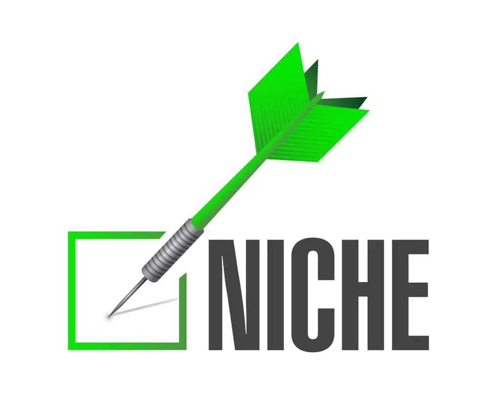 niche check dart illustration design over a white background